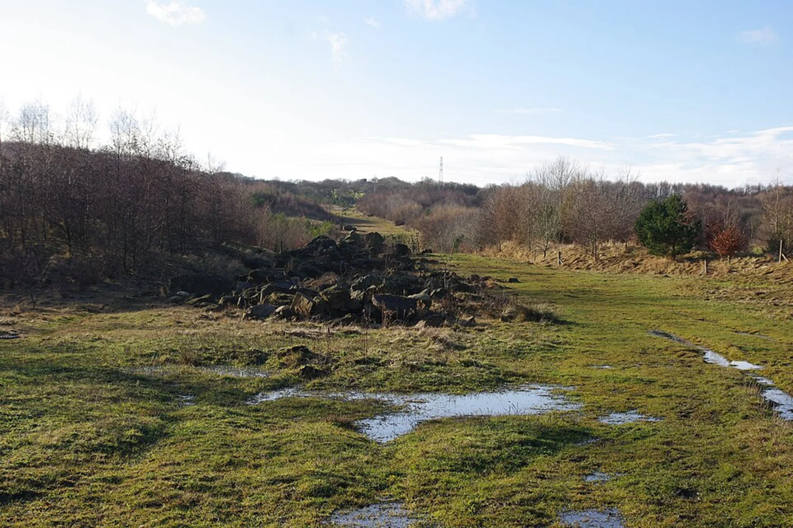 An image depicting the trail Watergate Forest Park and Roman Fort Loop and its surrounding area.
