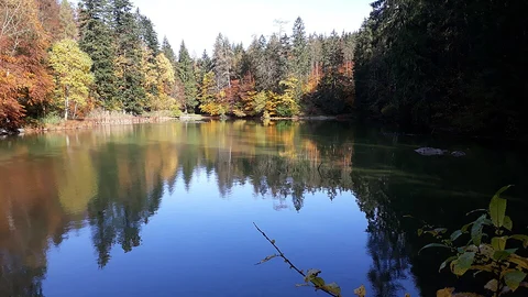 Tauben See Loop