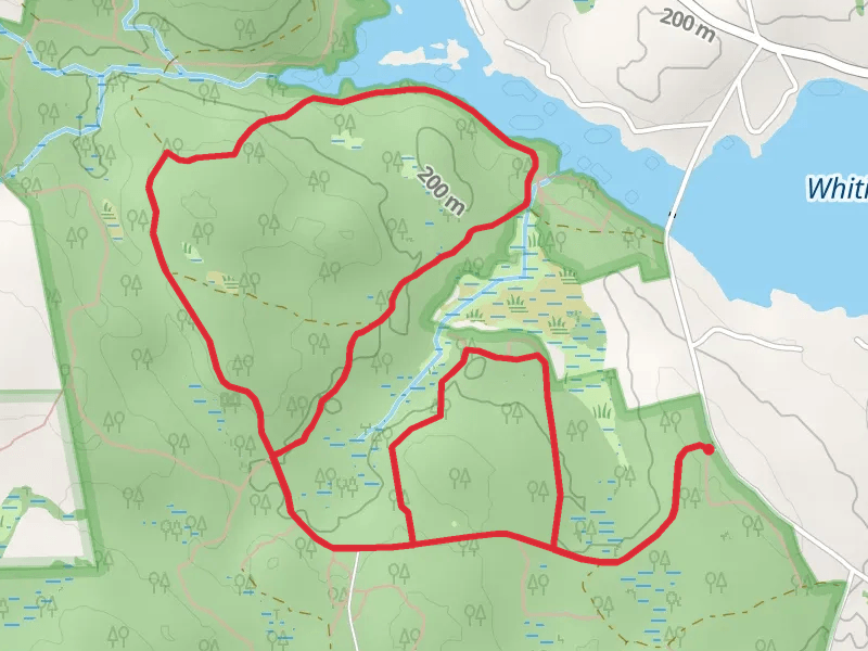 Mine Brook Wildlife and Whitin Reservoir Loop Trail