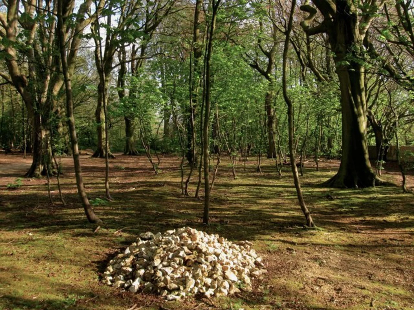 An image depicting the trail Stanmer Country Park Loop and its surrounding area.