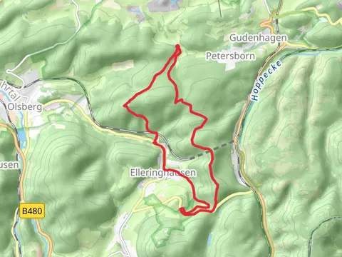 Borberg Kirchhof, Ginsterkopf, Habberg and Schusterknapp Loop