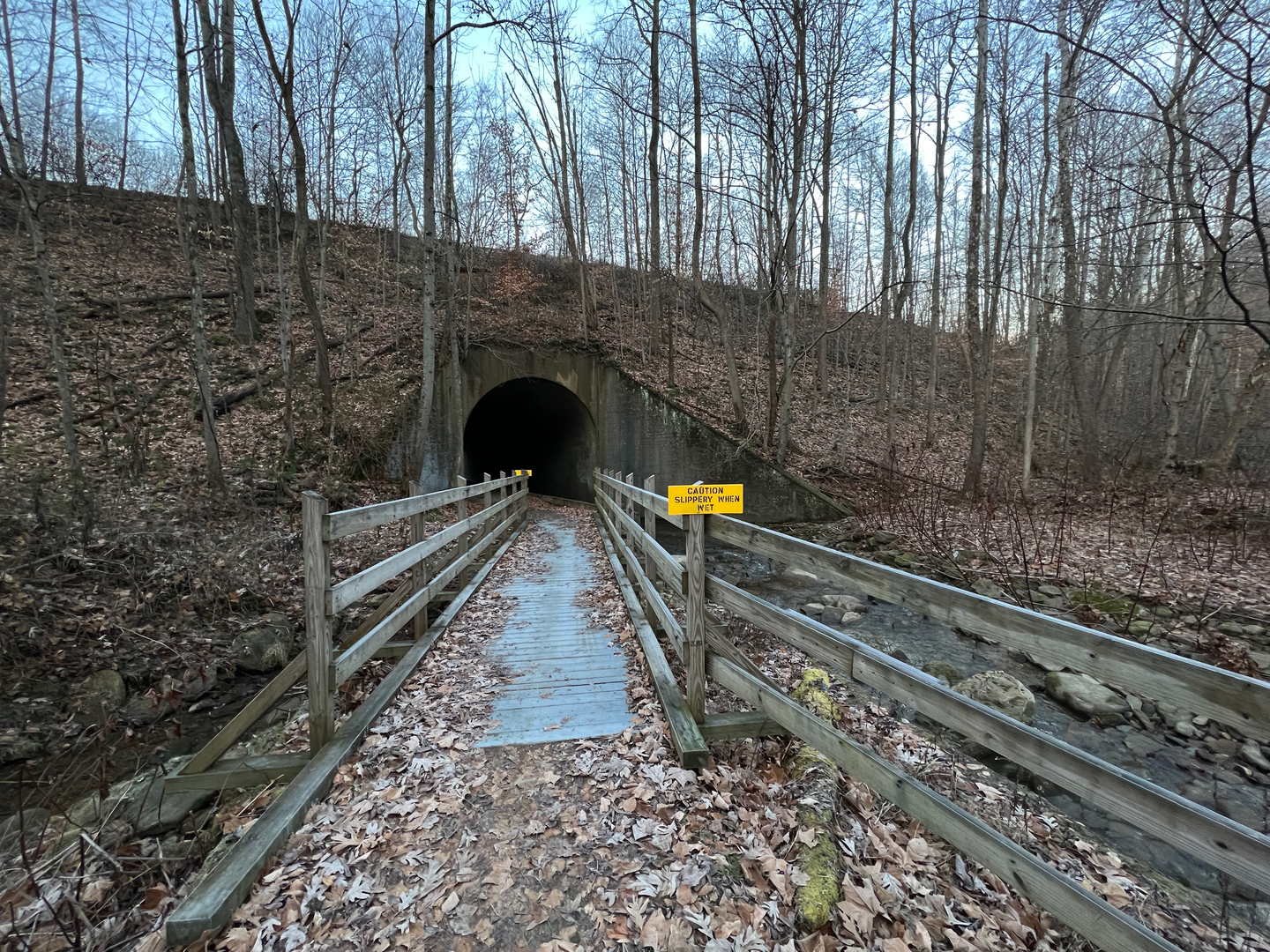 An image depicting the trail Elders Run Trail Loop and its surrounding area.