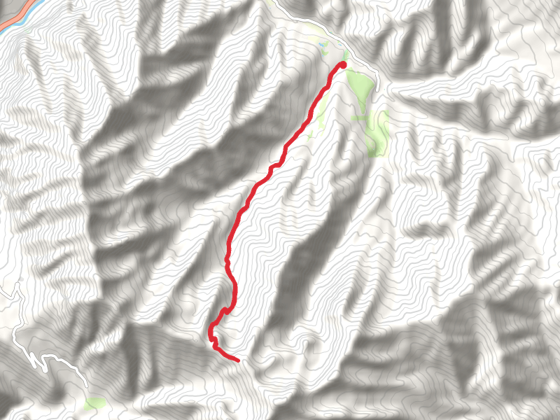 Big Springs Hollow Trail