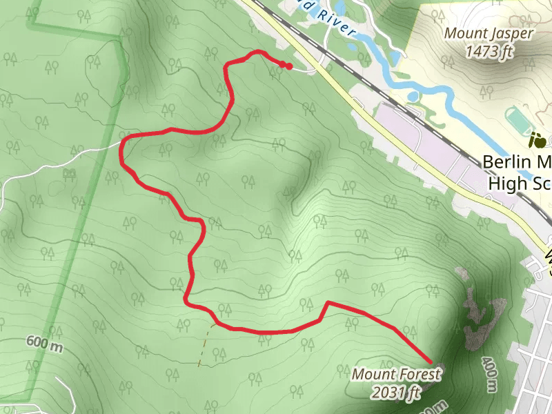 Mount Forest Trail