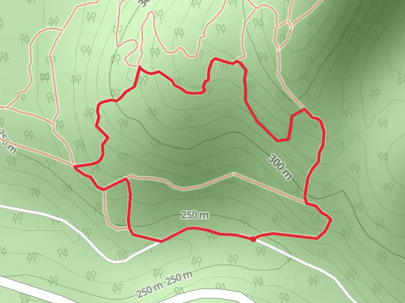 Burnbrae Road Loop
