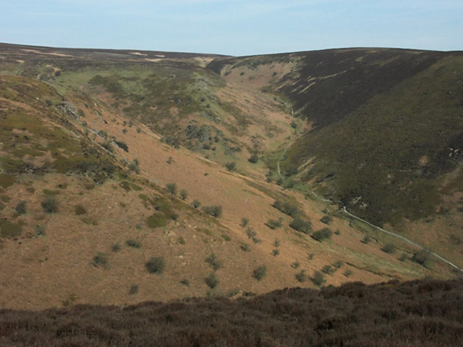 Boiling Well, Long Synalds and AShes Hollow Loop