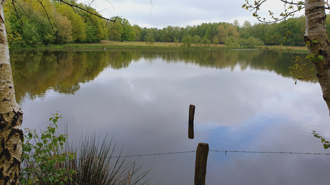De Braam and Witte Veen Loop