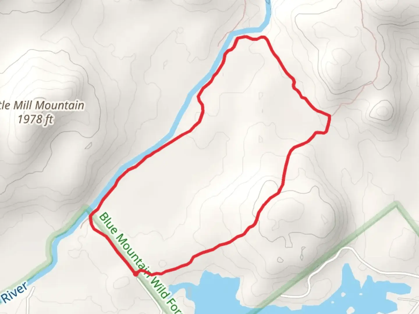 An image depicting the trail Adirondack Lake and Cedar River Loop and its surrounding area.