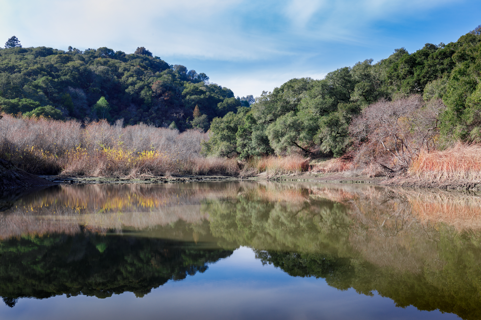 An image depicting the trail Chaparral, Water Dog Lake and Labor of Love Loop Trail and its surrounding area.