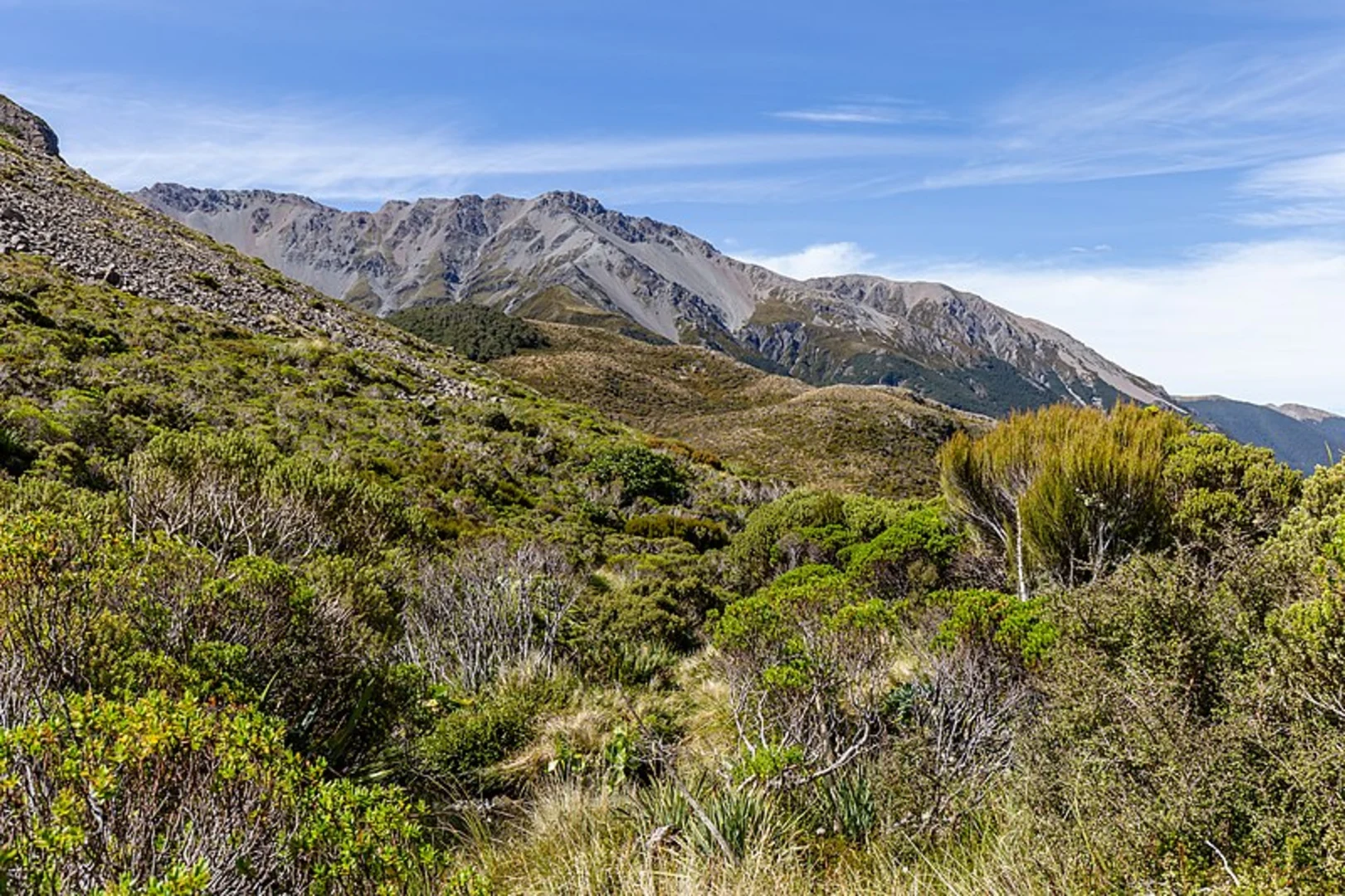 An image depicting the trail Edwards - Hawdon Route and its surrounding area.