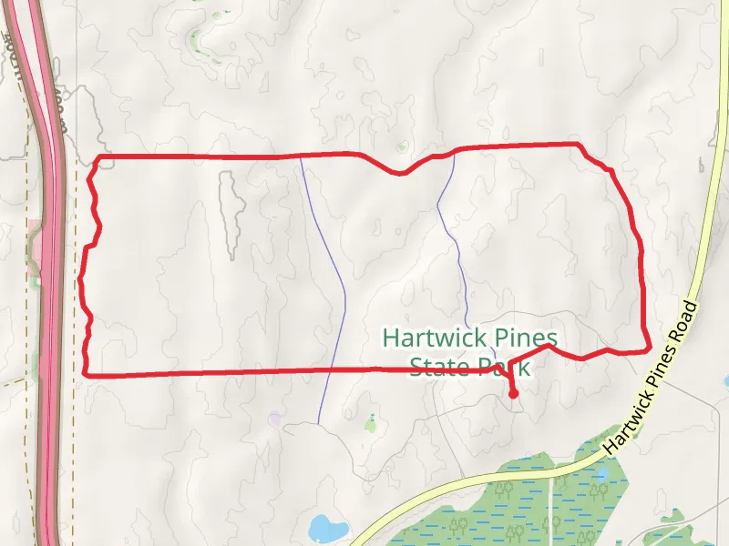 Hartwick Pines State Park Loop