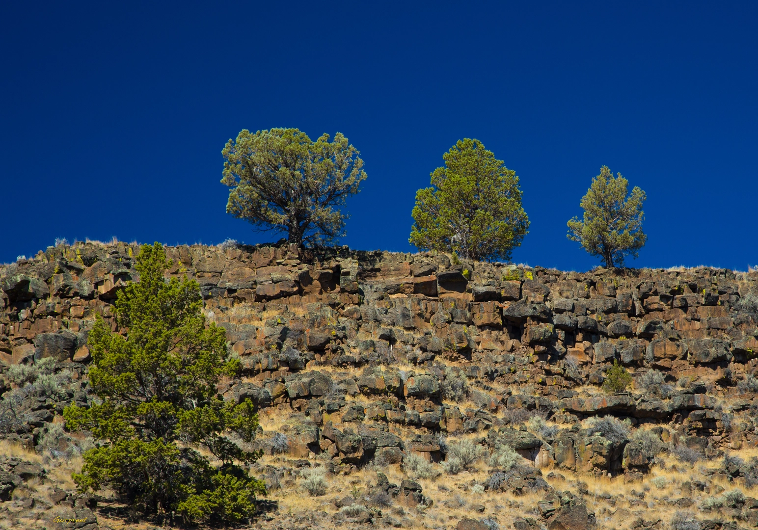 An image depicting the trail Lyons Trail and its surrounding area.