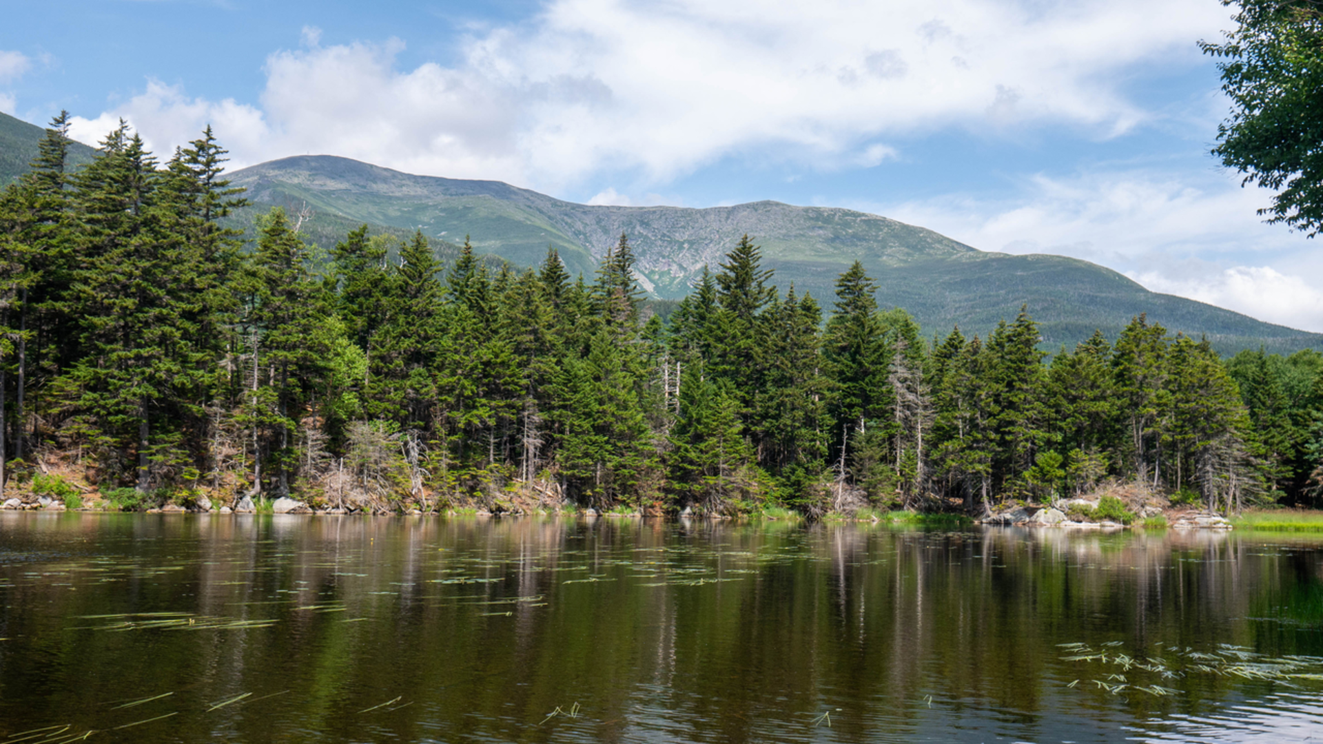 An image depicting the trail Giant Falls and Dream Lake via Peabody Brook Trail and its surrounding area.