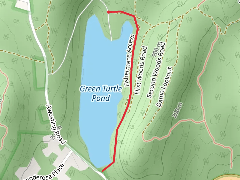 Green Turtle Pond East Shore Walk