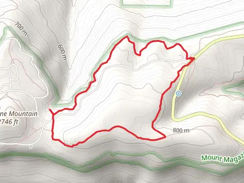 North Rim Trail, Greenfield Trail and Mossback Ridge Trail