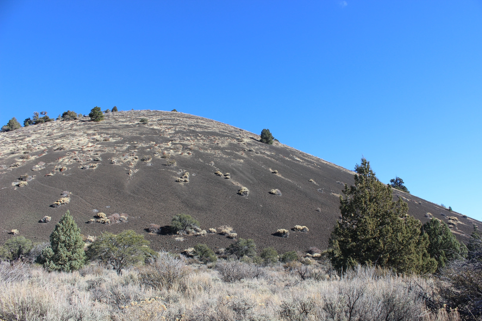 An image depicting the trail Schonchin Lookout Trail and its surrounding area.