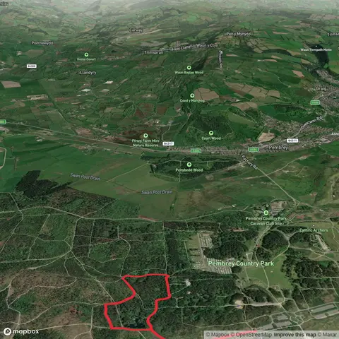 Woodland Hike at Pembrey