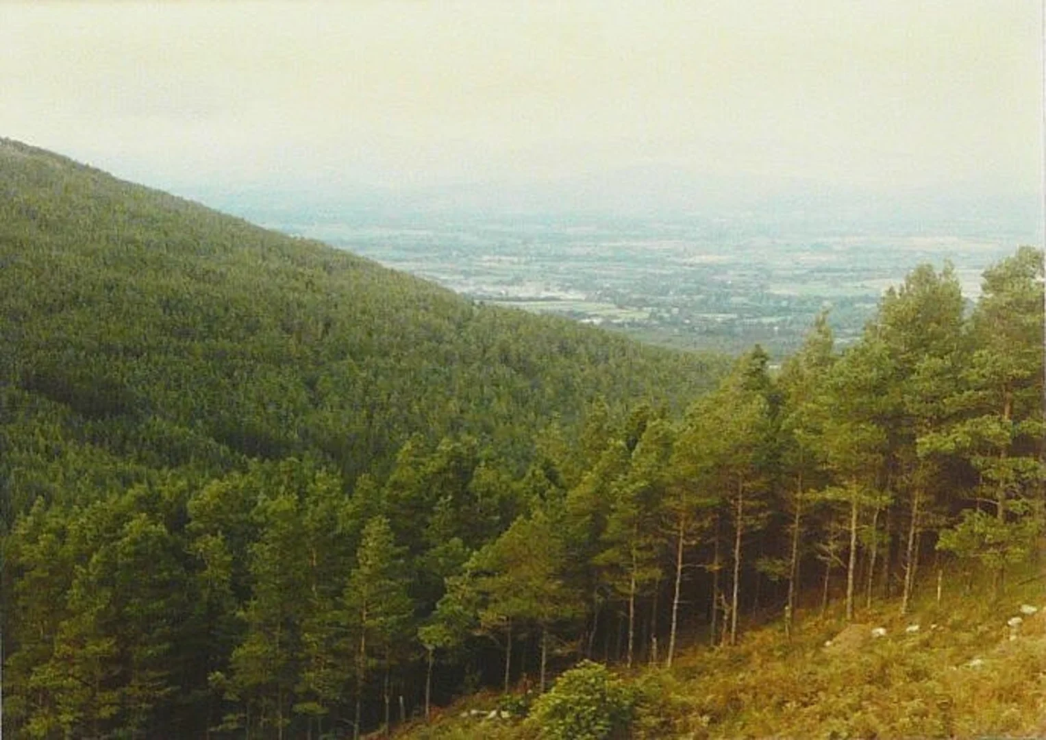 An image depicting the trail Crohan West and Knocknalougha Walk via East Munster Way and its surrounding area.