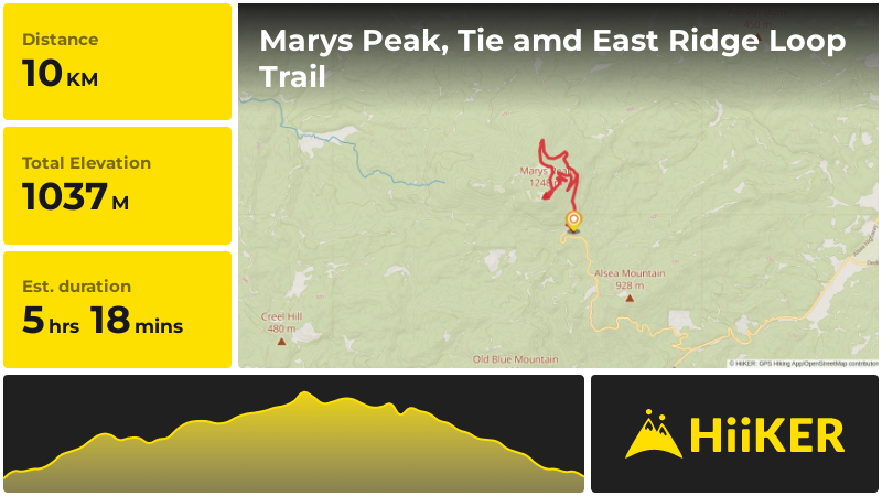 Marys Peak, Tie amd East Ridge Loop Trail | Benton County | Oregon