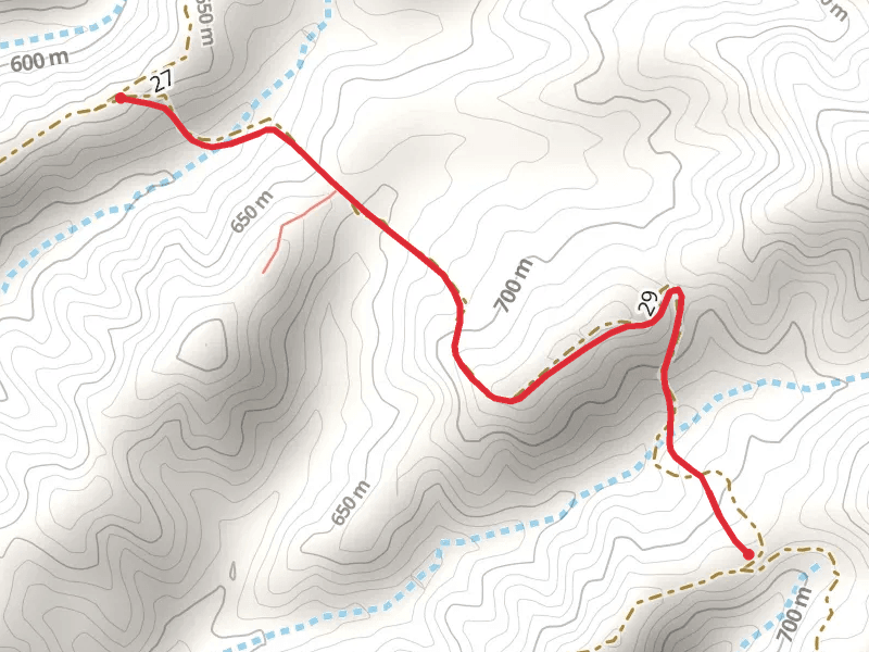 Jack Springs Trail