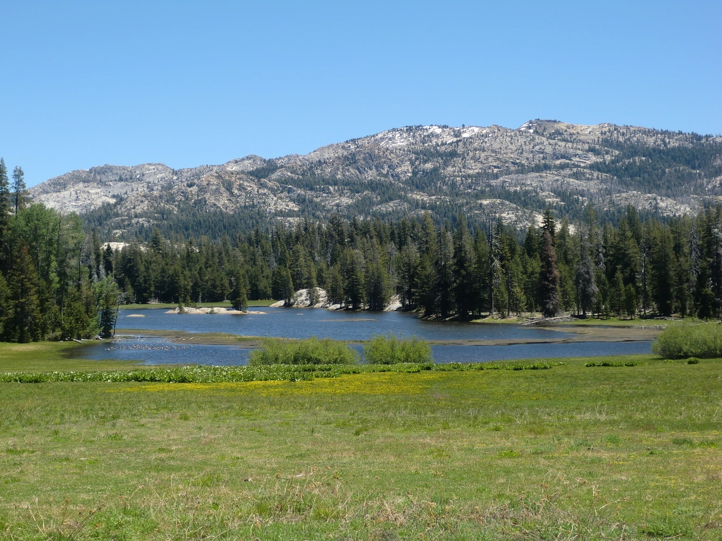 An image depicting the trail South Grove Trail and its surrounding area.