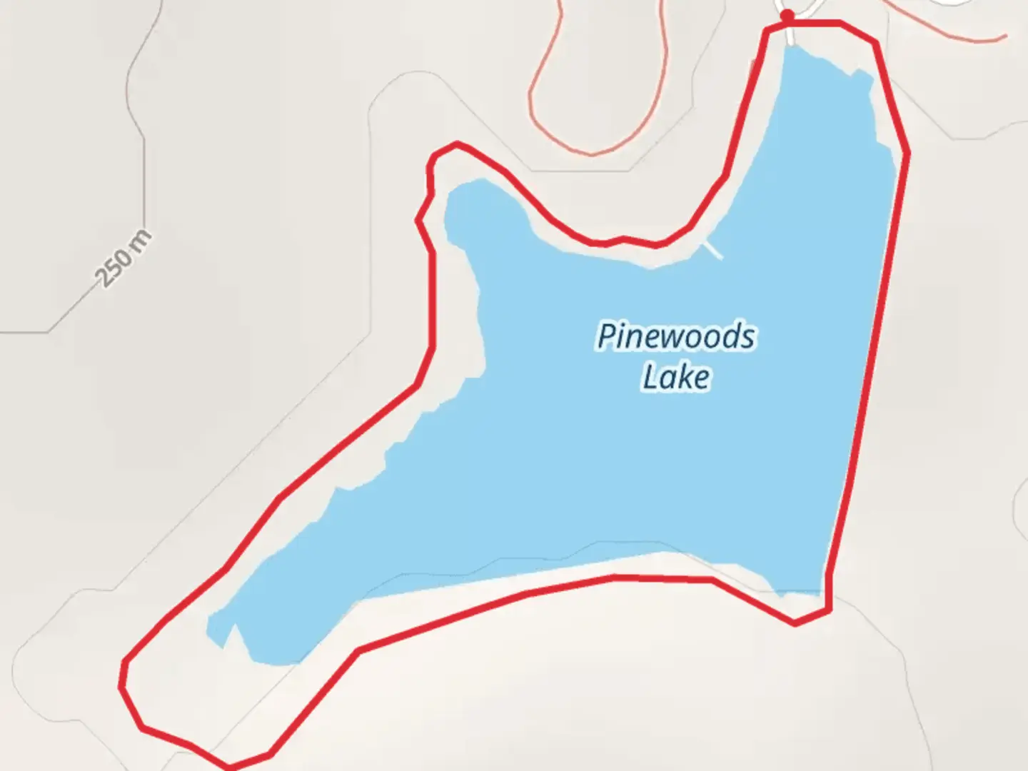 An image depicting the trail Pinewoods Lake Loop and its surrounding area.