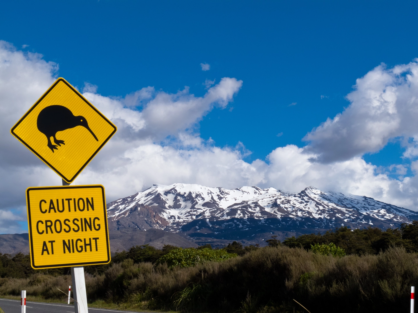 An image depicting the trail Waipakihi Hut Loop and its surrounding area.