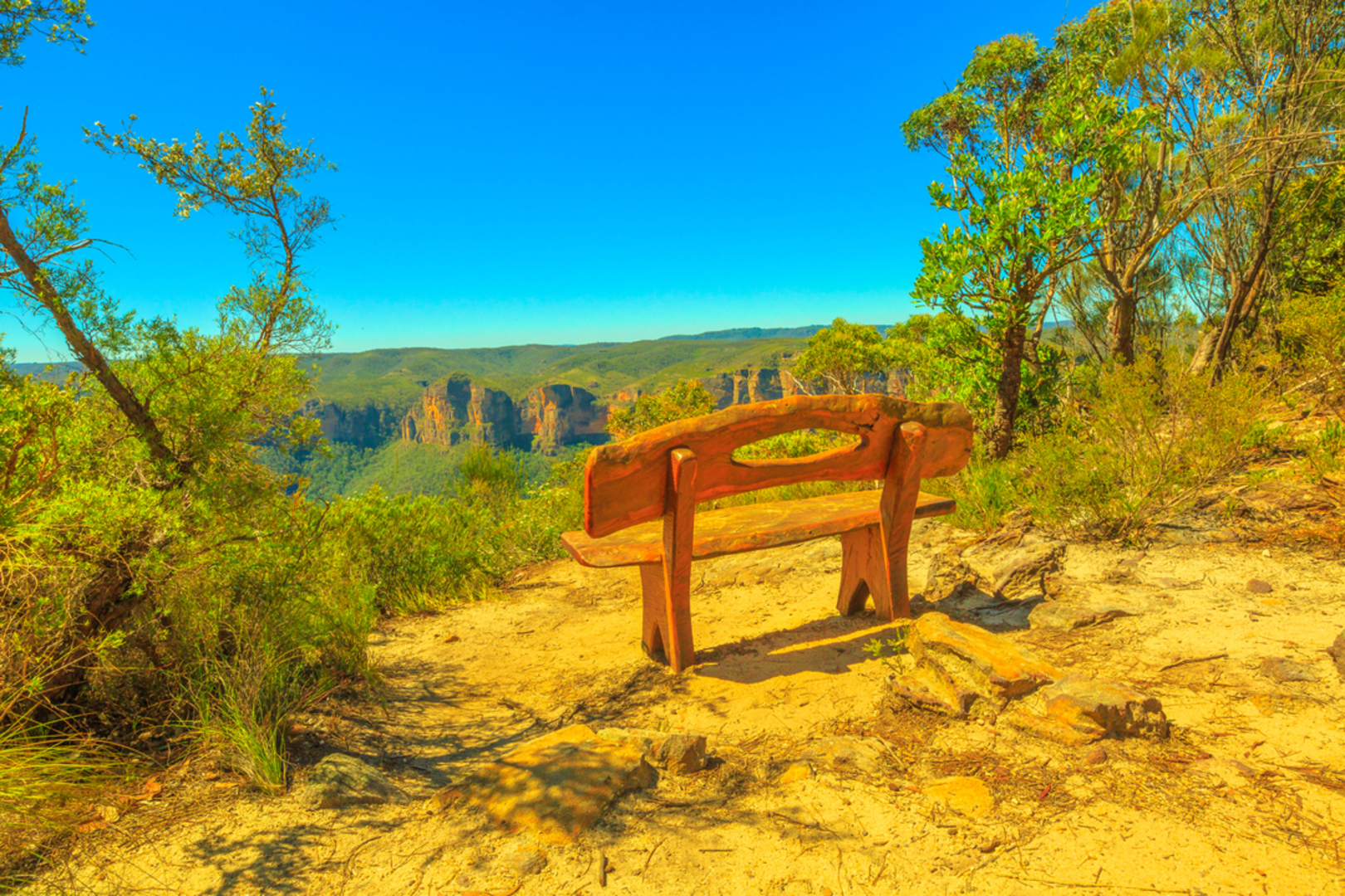 An image depicting the trail Anvil Rock Track and its surrounding area.