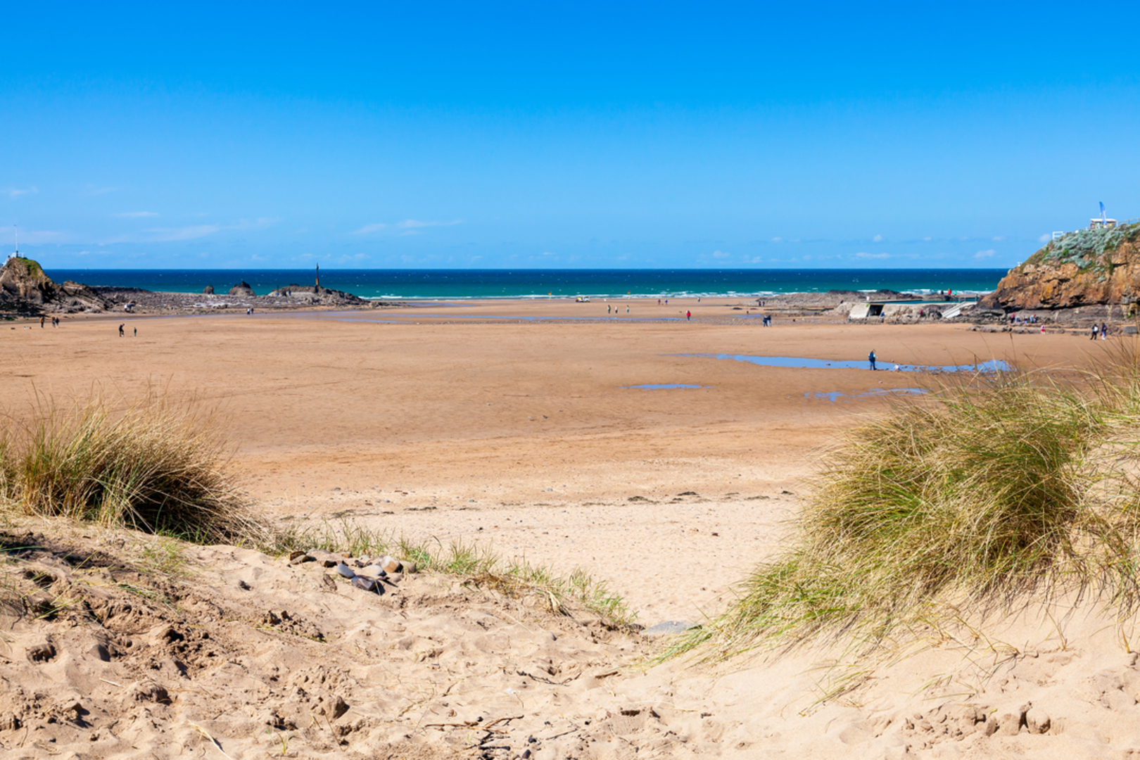 An image depicting the trail Whalesborough Farm - Bude Valley and its surrounding area.