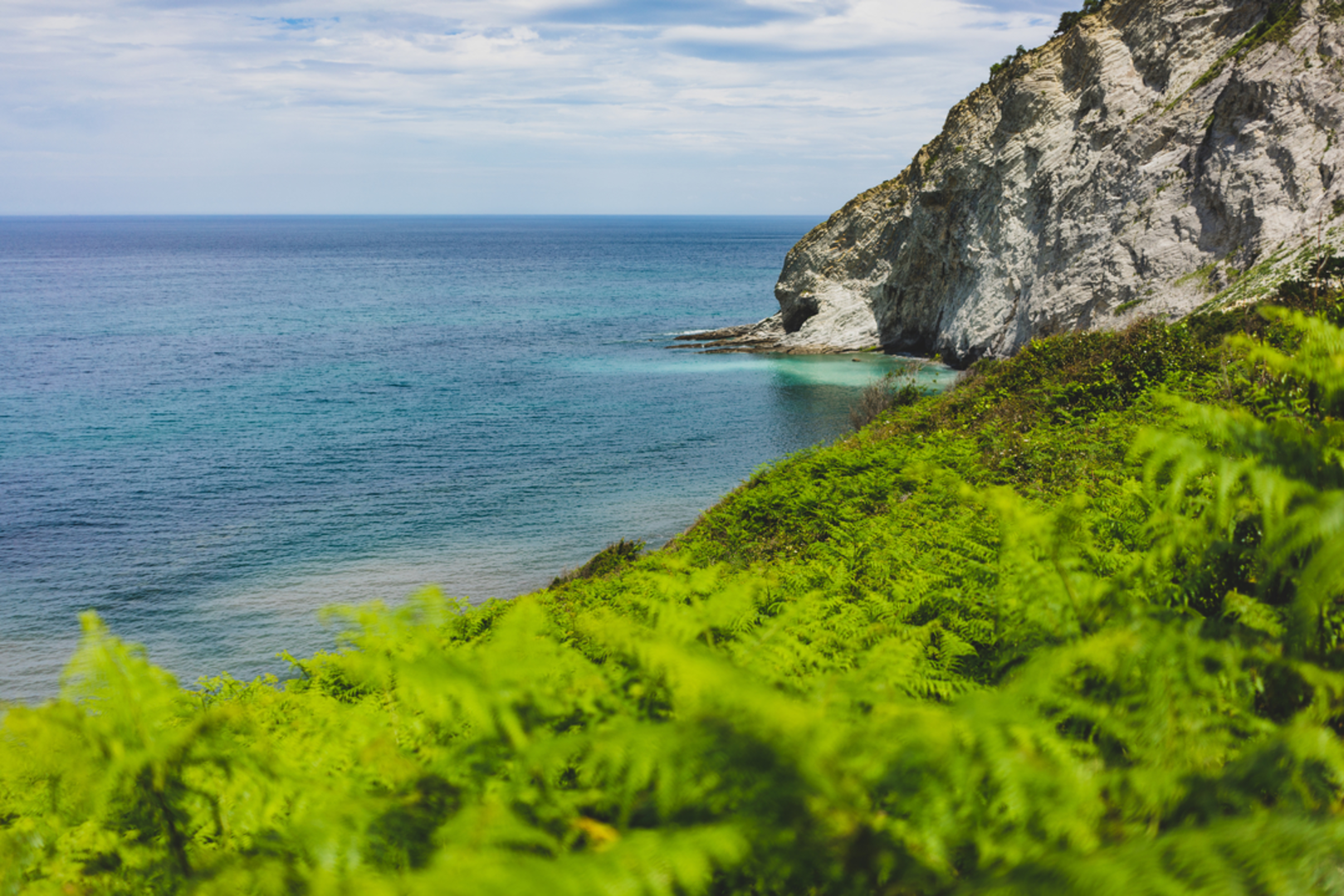 An image depicting the trail The Roots of the Cliff PR GI 5001 and its surrounding area.