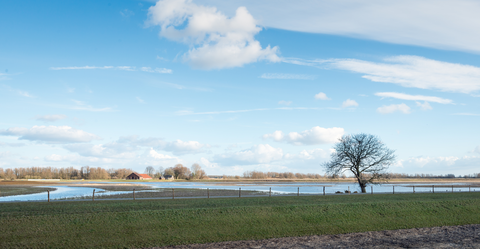 Polder Jantiesplaat and Ruiters Plaat Loop