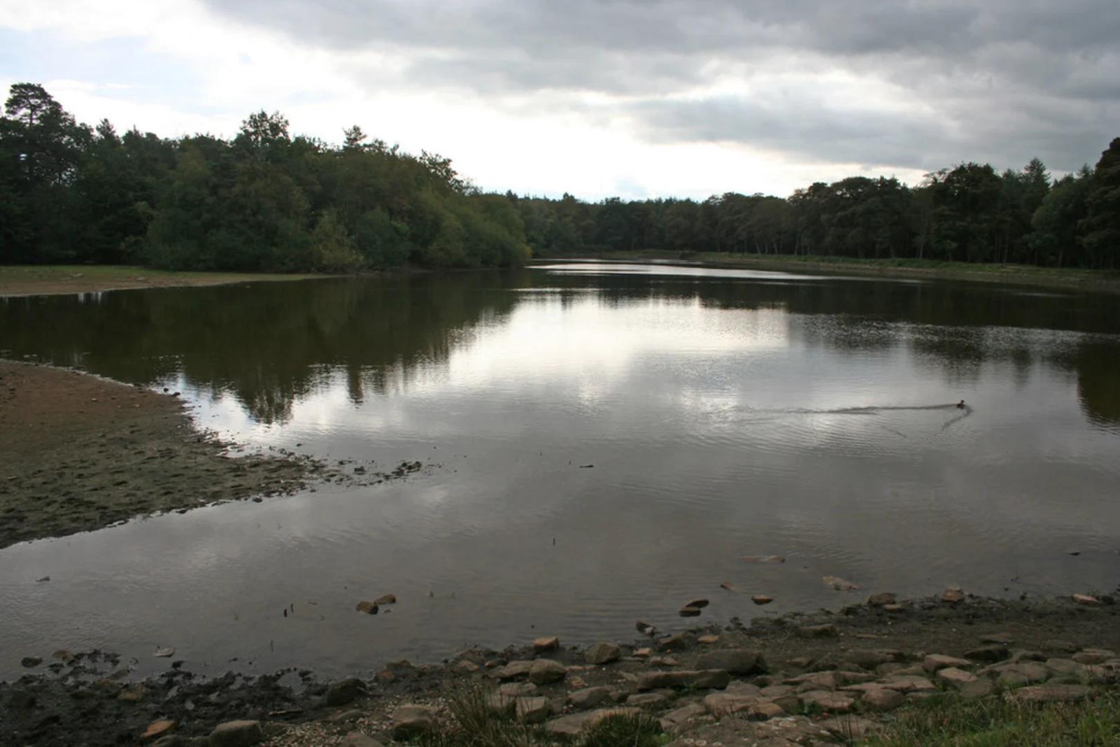 An image depicting the trail Emperor Lake and Swiss Lake and its surrounding area.