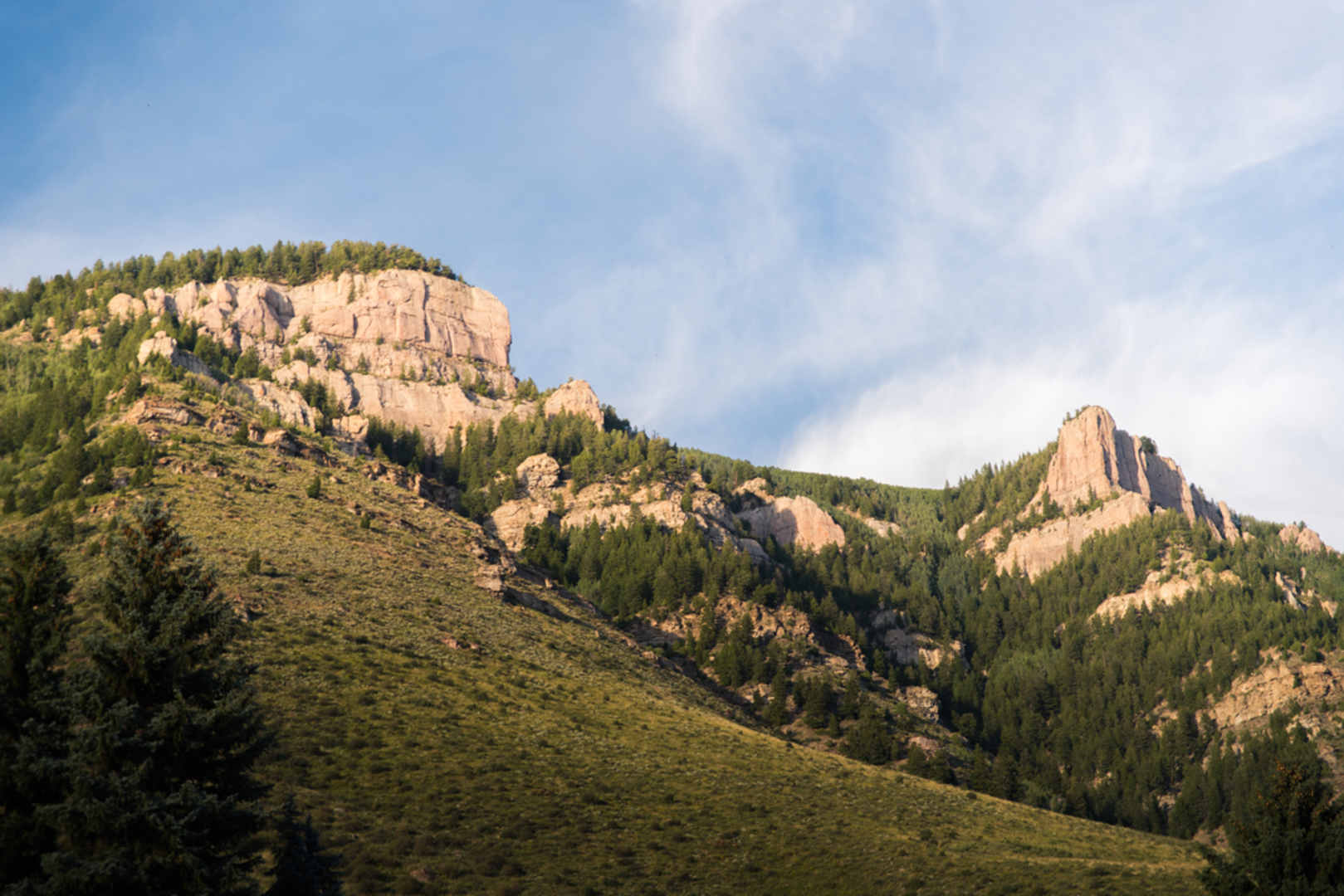 An image depicting the trail Full Nelson Trail via Line Shack Trail and its surrounding area.