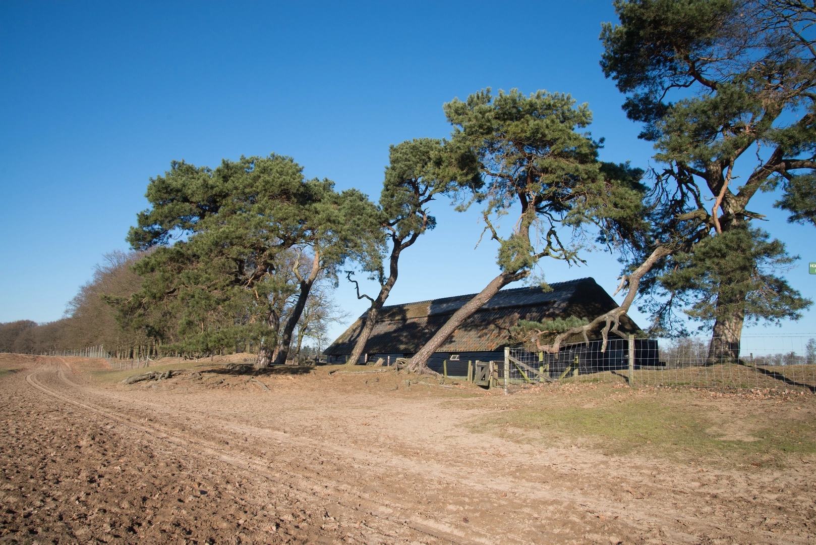 An image depicting the trail Deelense Veld, Zeven Kolken and Oud Reemsterhei via Roekelse Bosweg and Otterloseweg and its surrounding area.