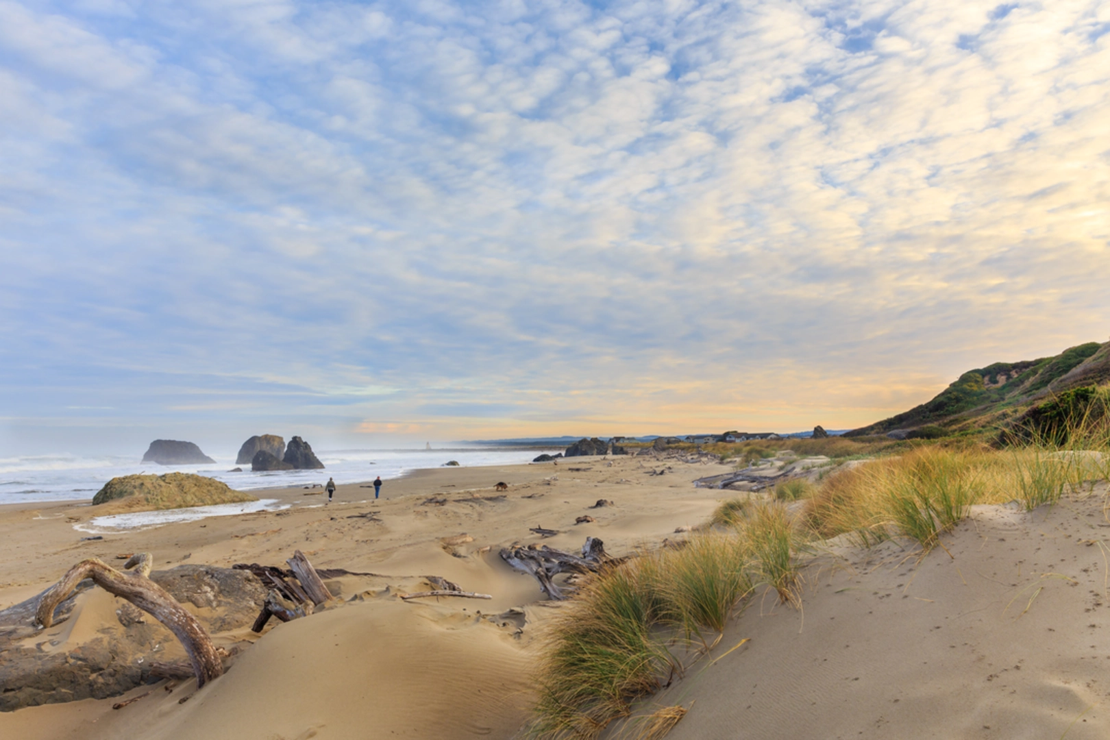 An image depicting the trail Oregon Dunes Trail and its surrounding area.