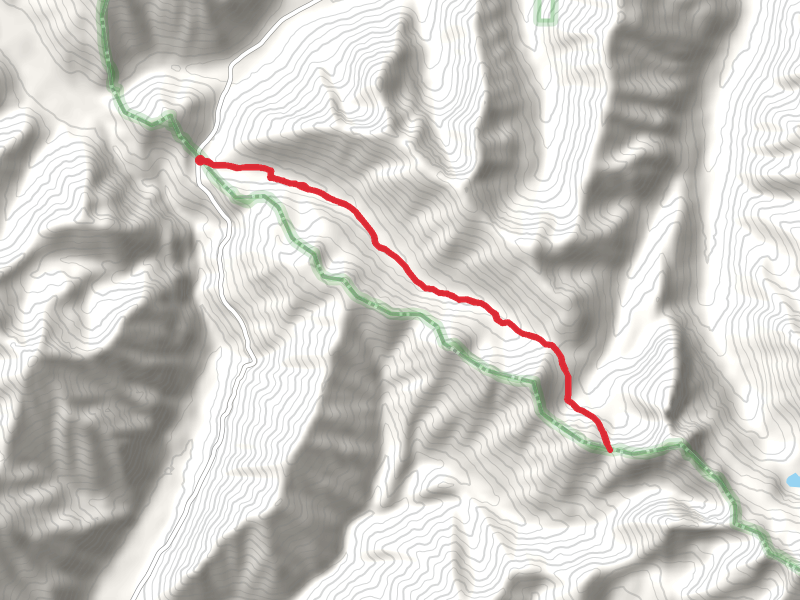 Trail Creek Summit Out and Back