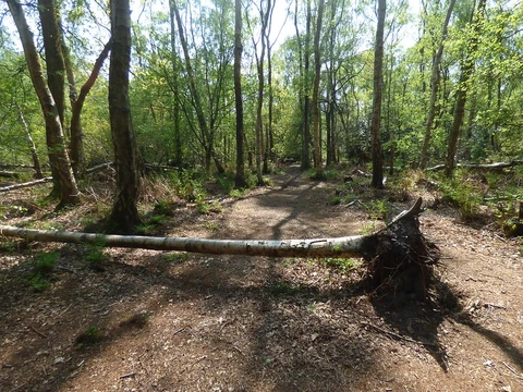 Dalefords Lane Loop