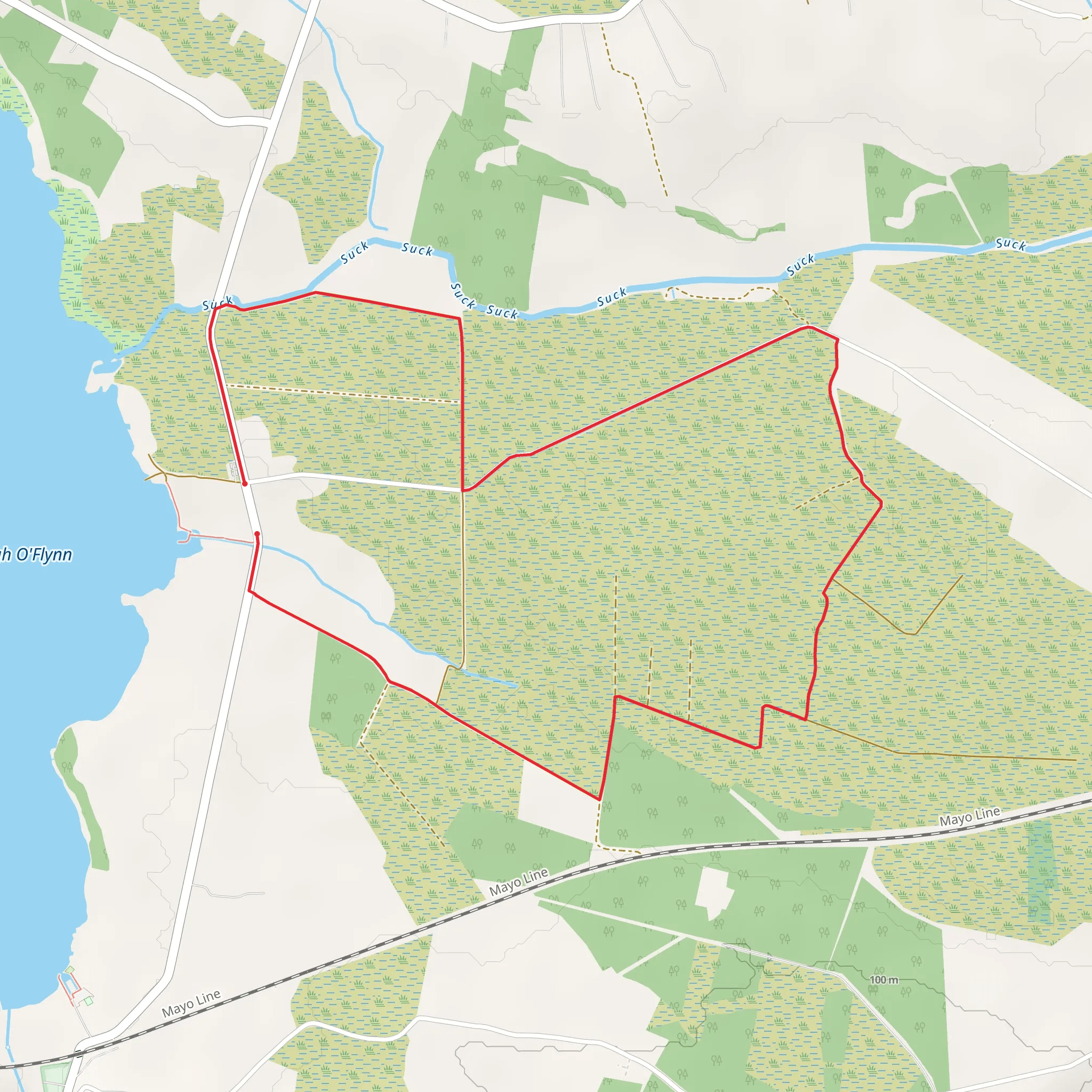 Lough O'Flynn - Wild Goose Bog Loop mobile static map