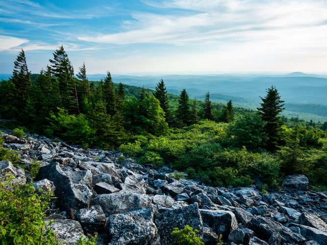 Bear Hunter Trail via Swallow Rock Trail