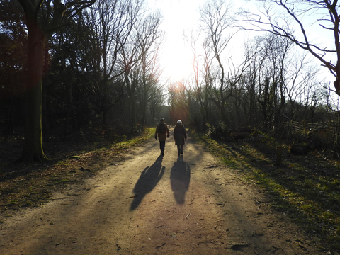 Meertje van Vogelenzang and Westerberg via Hoge Weg and Lage Weg