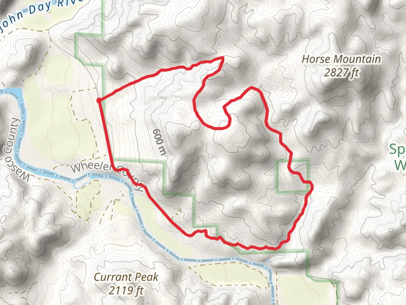 Spring Basin Canyon Loop