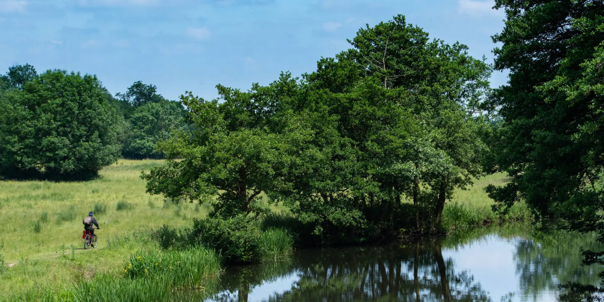An image depicting the trail Three Downs Link and its surrounding area.