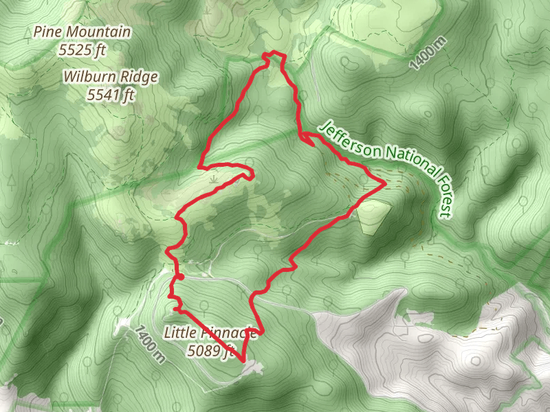 Rhododendron, Wilson Creek and Little Pinnacle Loop Trail