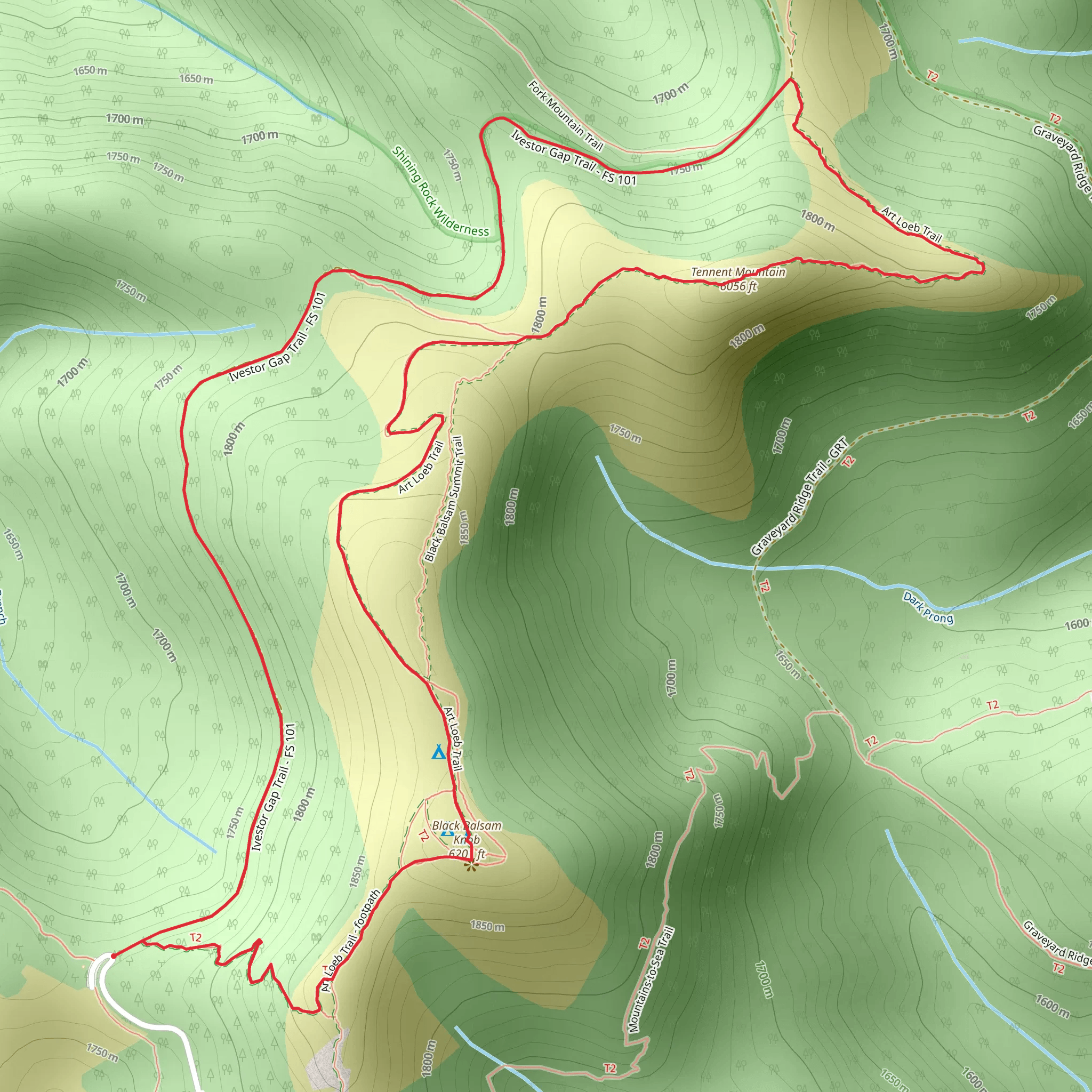 Tennent Mountain - Ivestor Gap and Art Loeb Loop Trail mobile static map