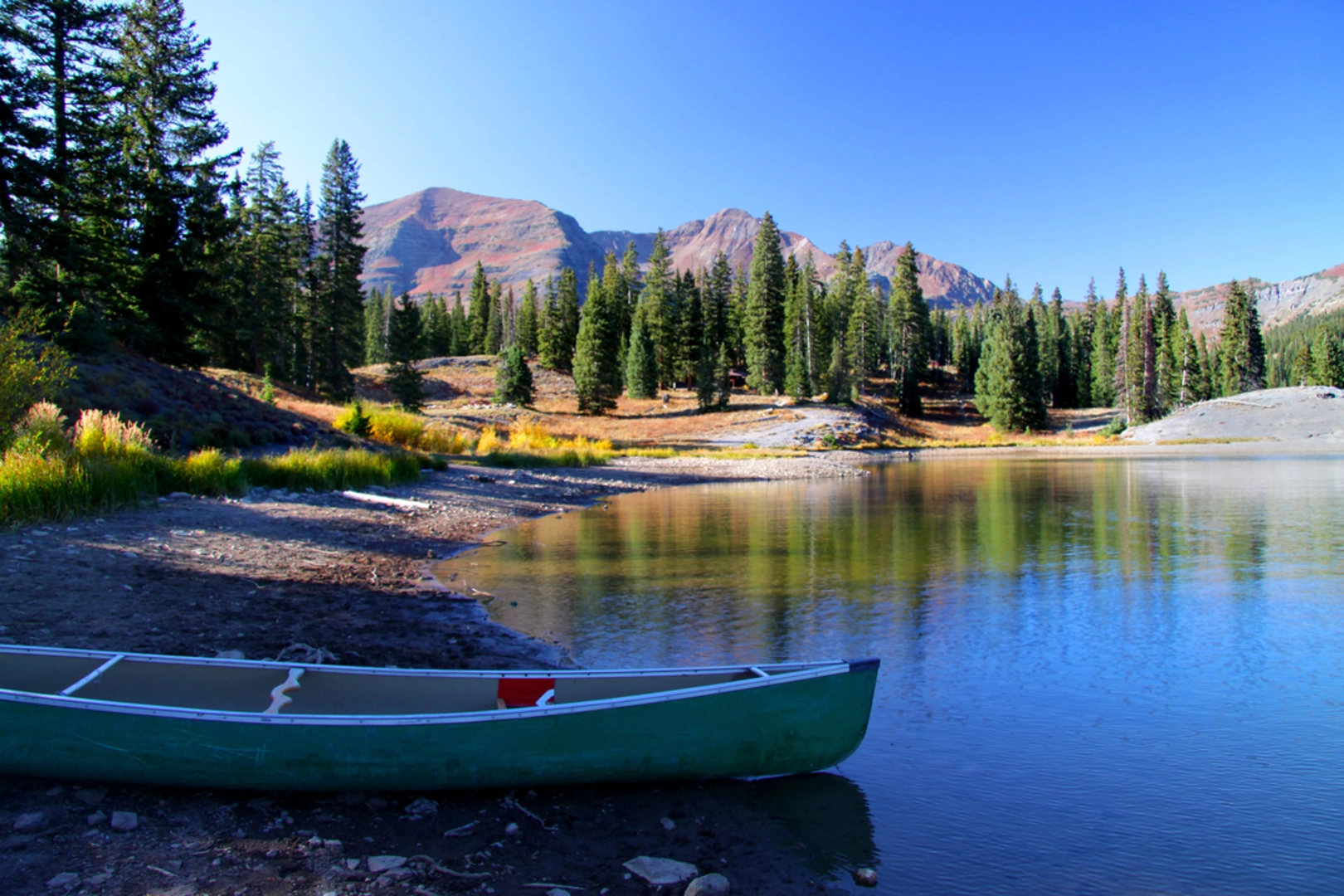 An image depicting the trail Turquoise Lake Nature Trail and its surrounding area.