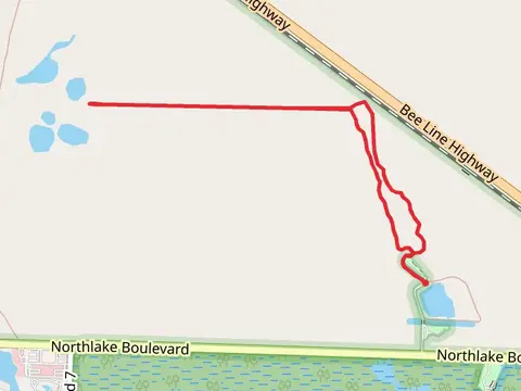 Hog Hammock and Promontory Trail