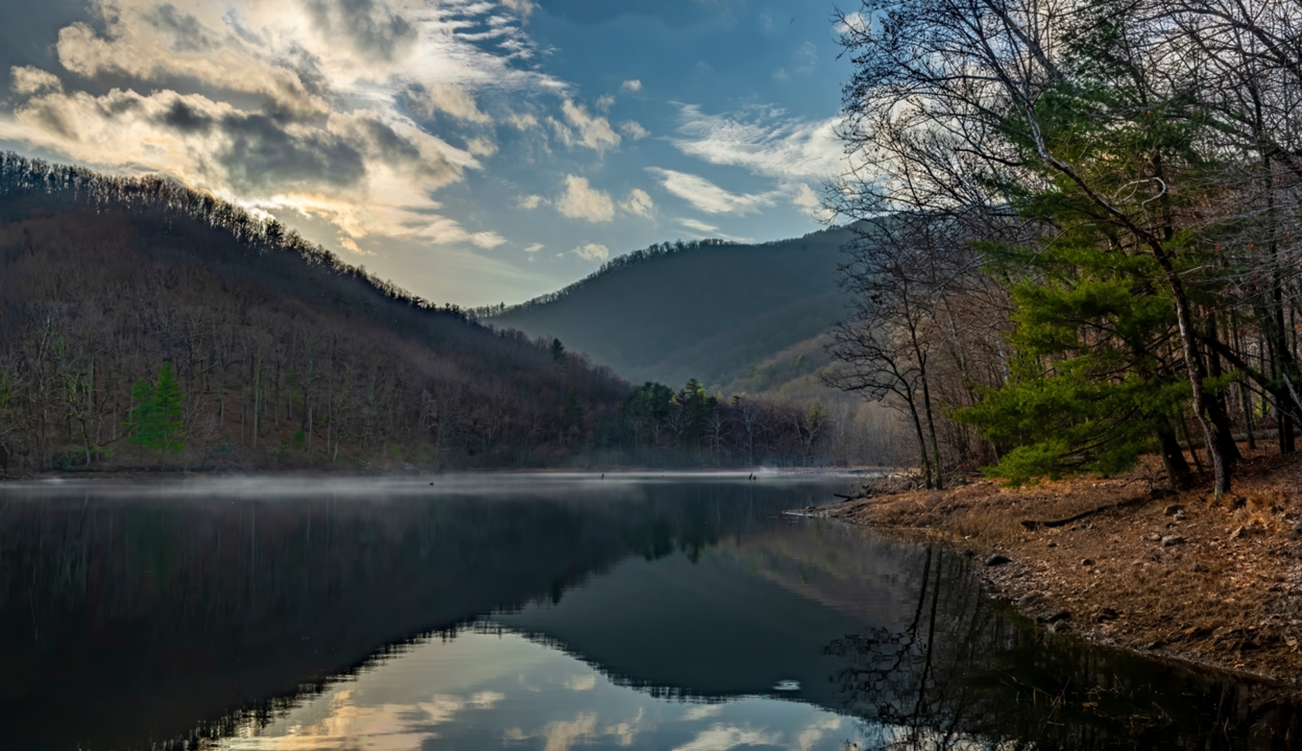 An image depicting the trail North Fork Moorman's River Trail and its surrounding area.