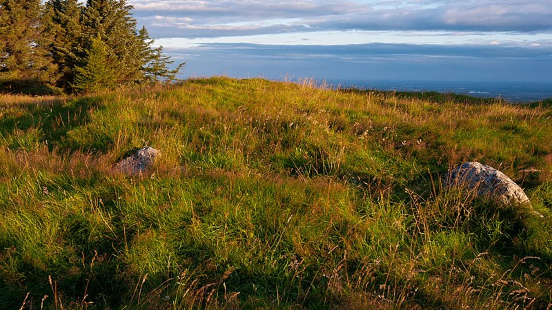 An image depicting the trail Montpellier Hill and Cruagh Loop and its surrounding area.