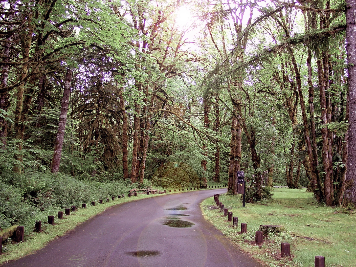 An image depicting the trail ADt and Greenpicker Loop and its surrounding area.