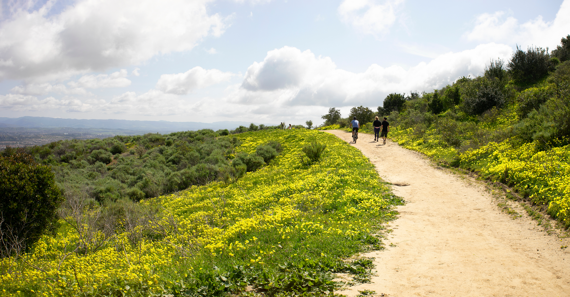 An image depicting the trail Mathis Canyon, Wood Canyon and West Ridge Loop Trail and its surrounding area.
